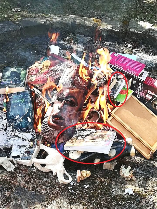 双1<1>释放<新>增量，淘宝闪购激活近场潜力