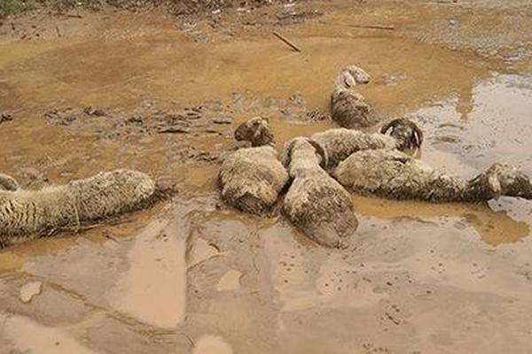 “:向—新逐绿”势能足 前三季度锂电产业增加值同比增近三成