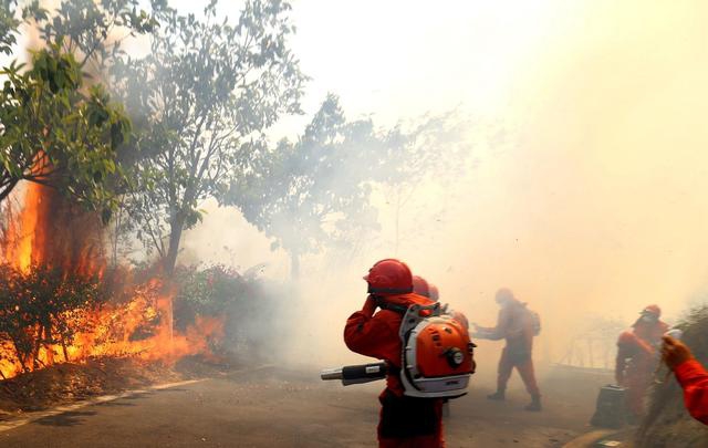 日本,，马上没有大熊猫了！{}