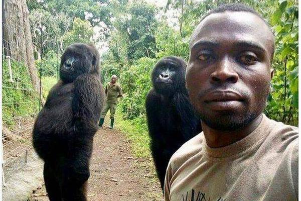 统;一股份换手率28.;24%，上榜营业部合计净卖出1853.46万元