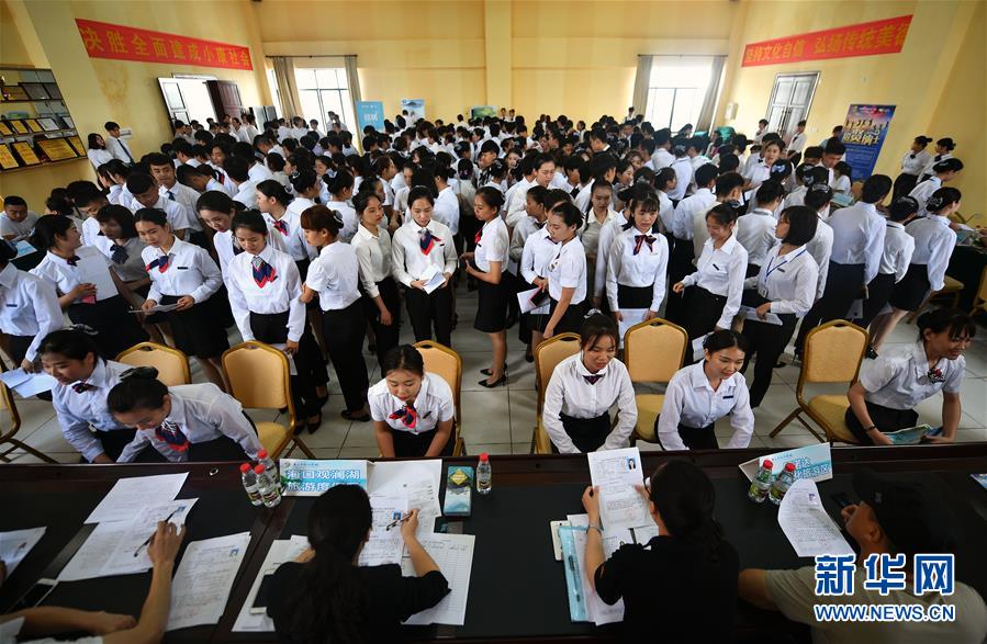 豪鹏!科技08月01日继续上涨，股价创历史新高